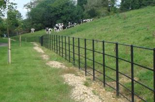 Black painted parkland fencing