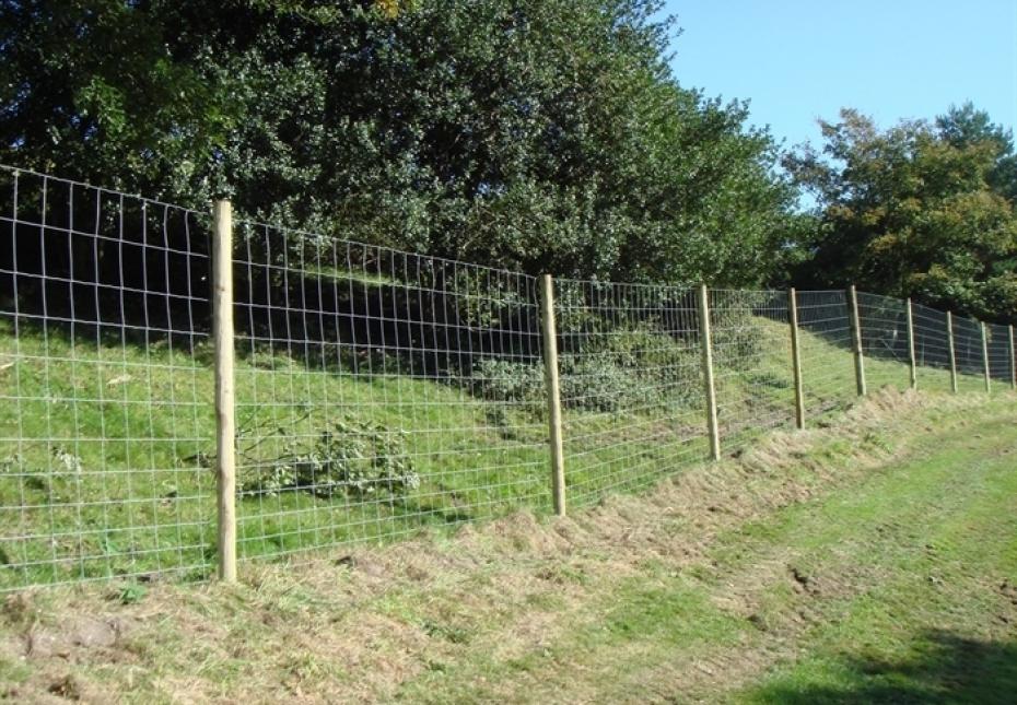 Deer fence