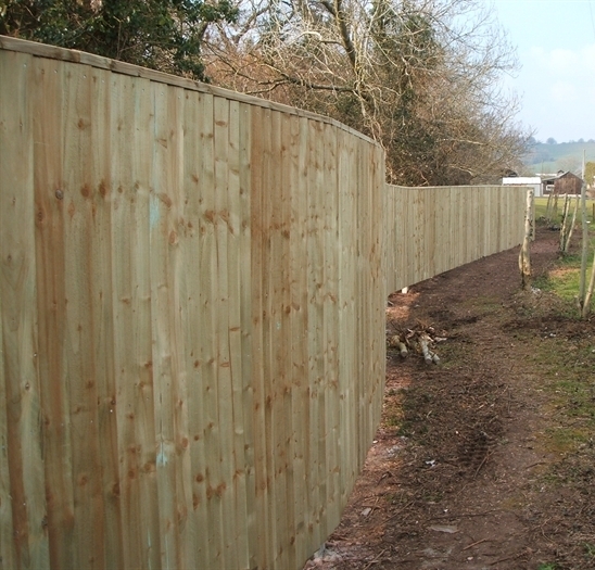 Featheredge fencing