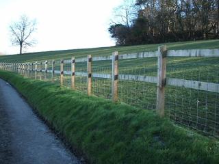 Post and Two Rail Fence with Stocknet