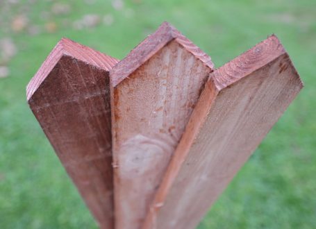 Pointed Dipped palisade
