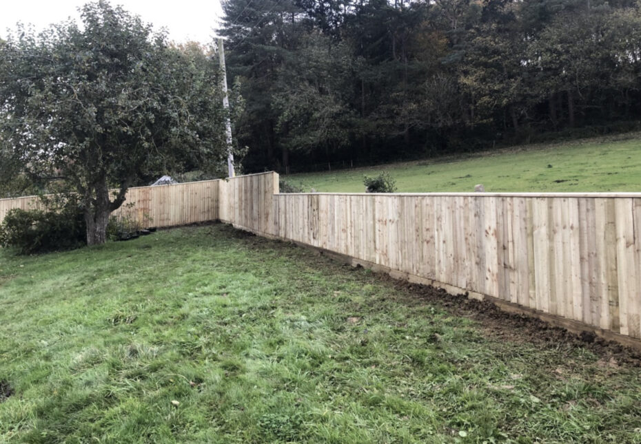 Featheredge fencing in Dorset