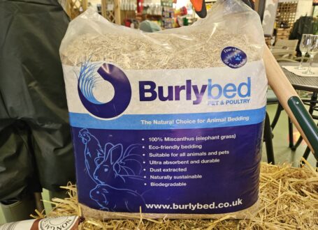 Burlybed Pet and Poultry